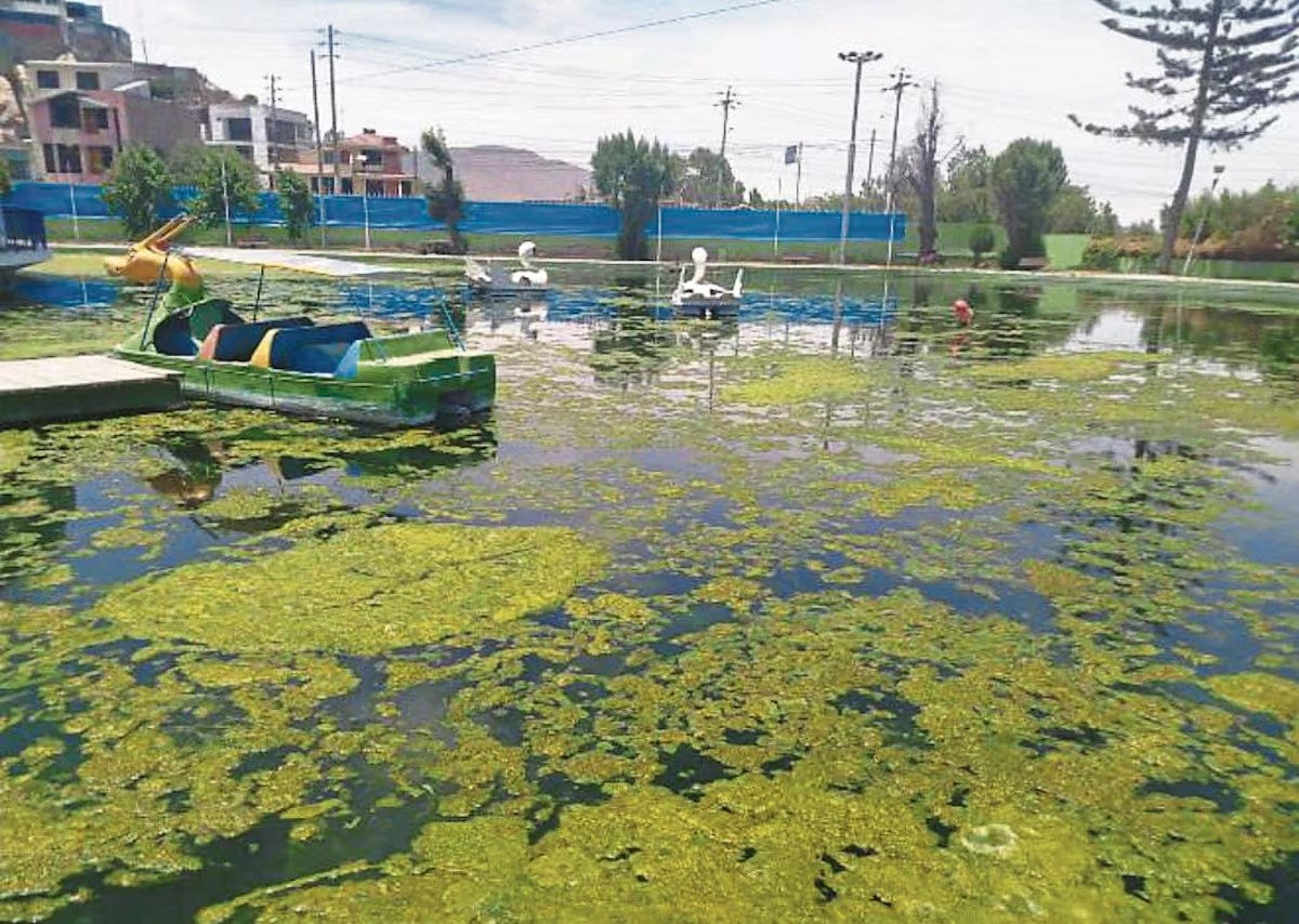 Arequipa: regidores alertan grave abandono del Parque Acuático de Tingo