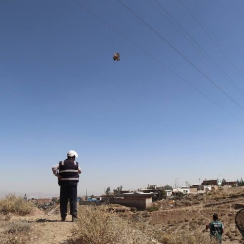 SERFOR y SEAL rescatan a ave atrapada en cables de alta tensión.