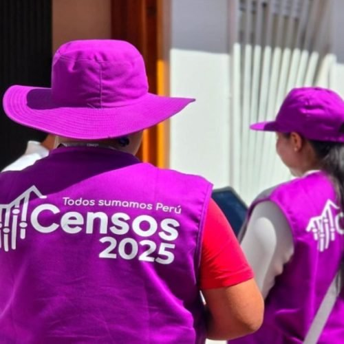 INEI ejecuta censo extemporáneo en Acarí por conflicto de límites