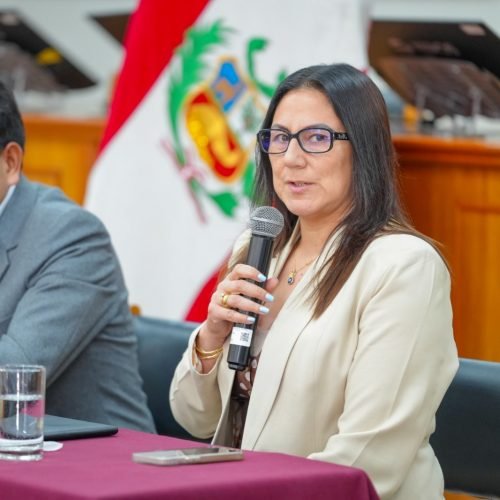 GRA designa a Alejandra Midolo como nueva titular de Promoción de la Inversión Privada