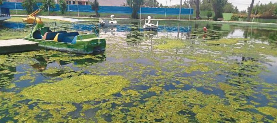 Arequipa: regidores alertan grave abandono del Parque Acuático de Tingo
