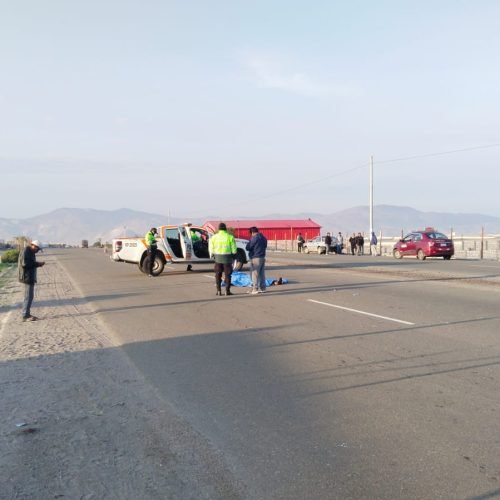Buscan a conductor que atropelló y abandonó a cantero en la autopista La Joya