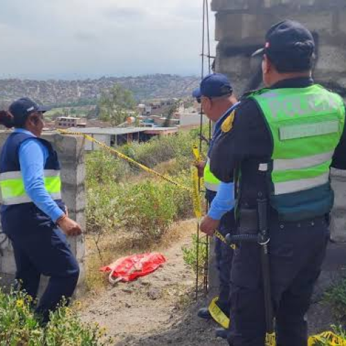Hallan restos de feto mutilado en Socabaya